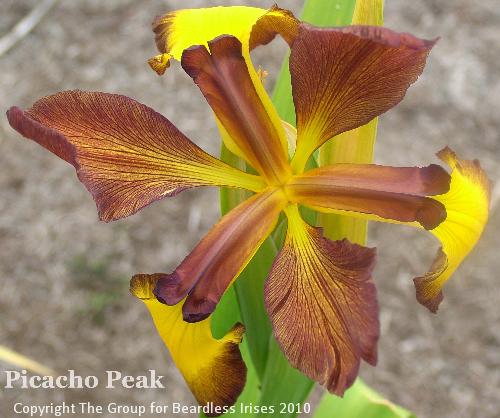 Picacho Peak